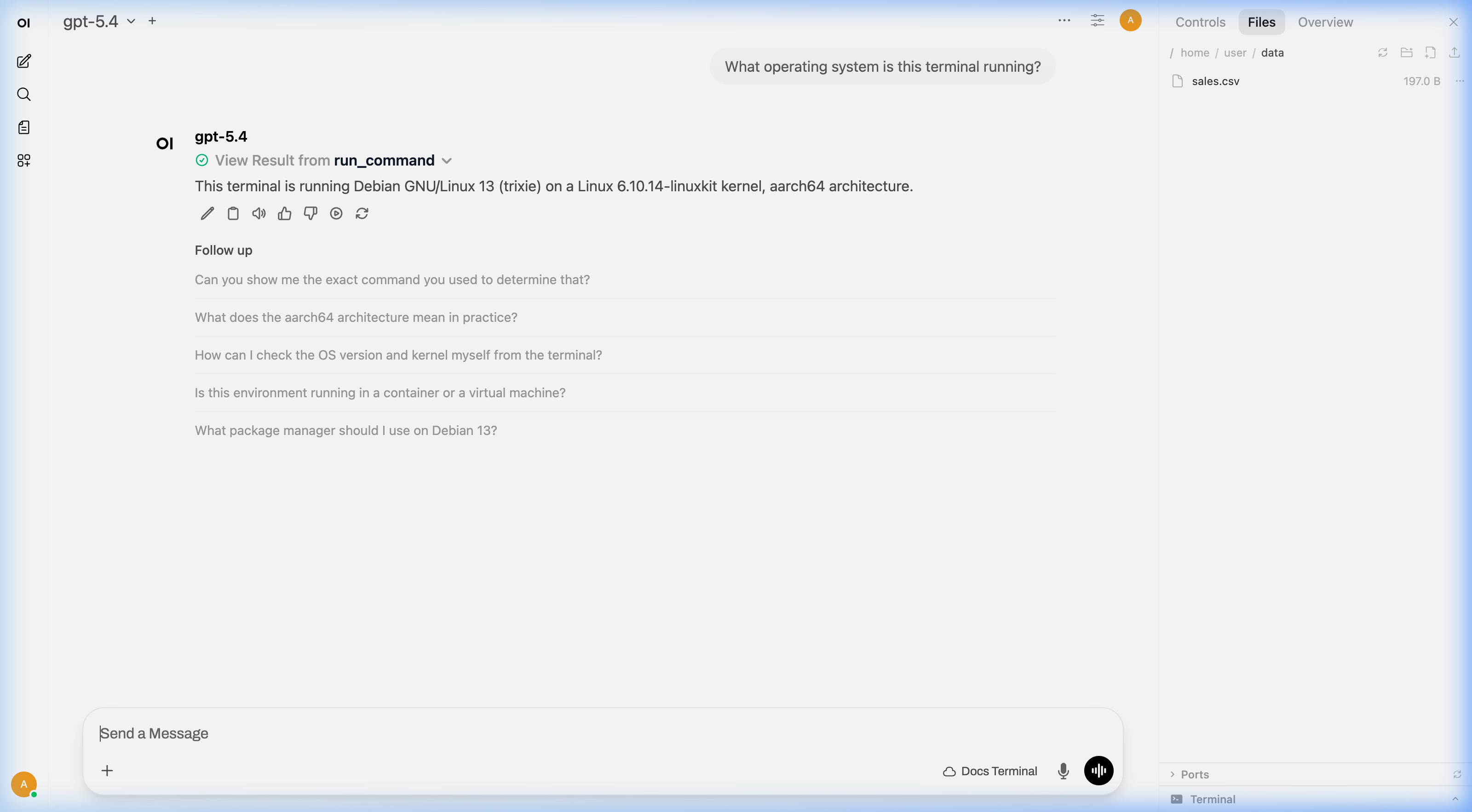 AI 使用 run_command 检查操作系统