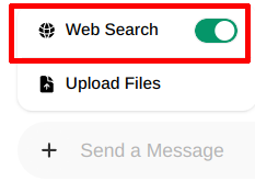 启用 Web search