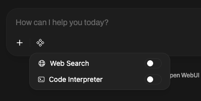 Web Search 切换按钮